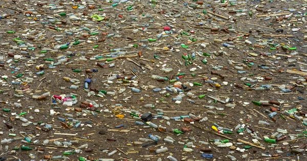Загрязнение Озера Пластиковыми Пакетами Токсичными Отходами Воде — стоковое фото