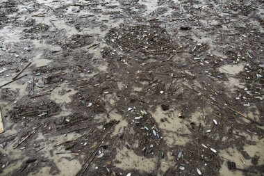 Göl su kirliliği plastik torbalar ve kir ile