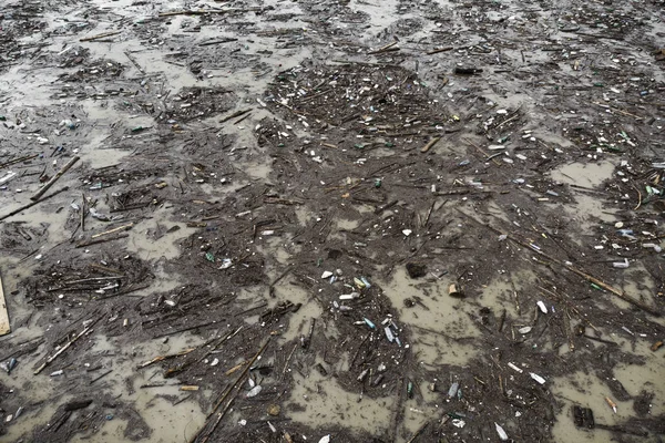 Загрязнение Воды Озером Пластиковыми Пакетами Грязью — стоковое фото