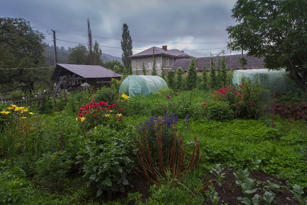 Vista Jardín Después Lluvia — Foto de Stock