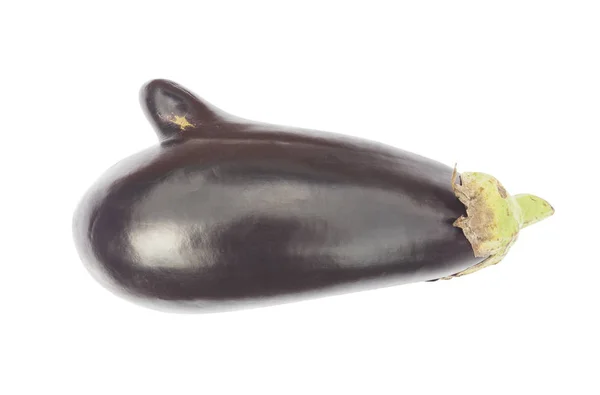 Eggplant Isolated White Background — Stock Photo, Image