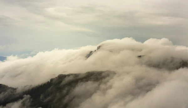 Regenwolken Mist Bergen Van Ceahlu Roemenië — Stockfoto