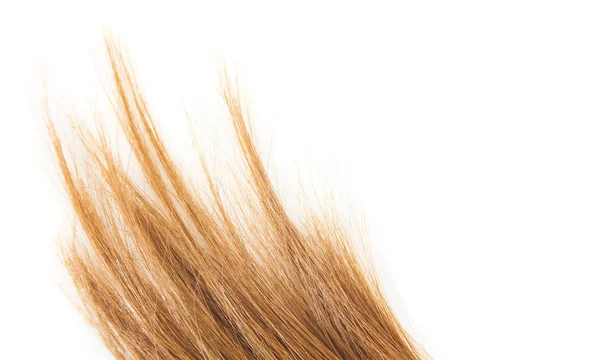 Brown Shiny Hair End Isolated White — Stock Photo, Image