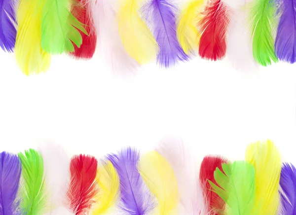 텍스트에 공백으로 다채로운 깃털의 프레임 — 스톡 사진