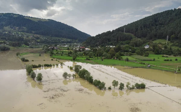 Aerial View Flooded Garden Water — Stock Photo, Image