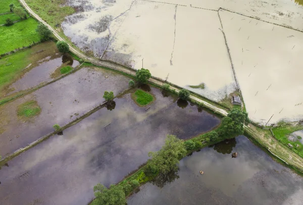 Aerial View Flooded Garden Water — Stock Photo, Image