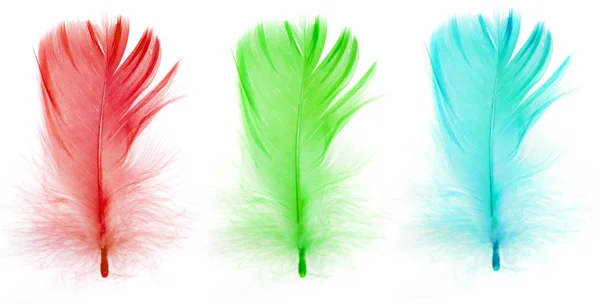 Plumas Azules Verdes Rojas Aisladas Blanco — Foto de Stock