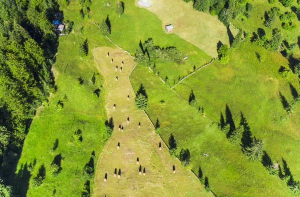 Vista Aérea Pilhas Feno Roménia Rural — Fotografia de Stock