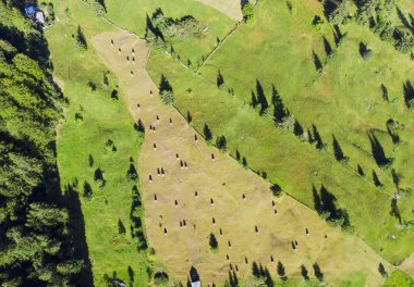 Romanya, kırsal saman yığınları ile bahçenin havadan görünümü