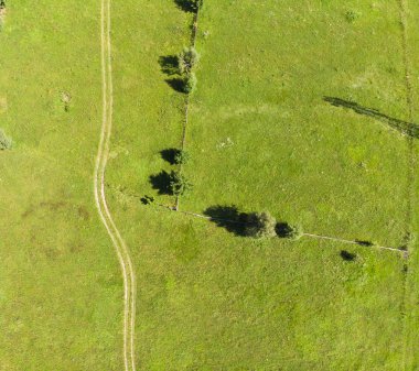 yol ve yeşil çayır. havadan görünümü
