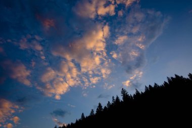 çerçeve içinde orman ile gökyüzünde bulutlar