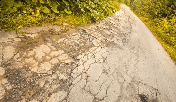 Route Fissurée Endommagée Dans Forêt Automne — Photo