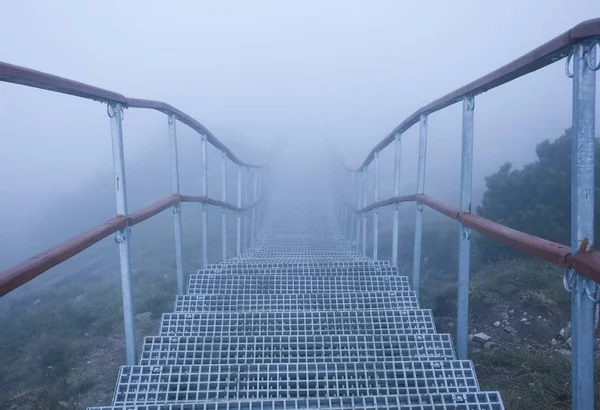 Paysage Brumeux Brouillard Dans Les Montagnes Roumanie Vue Des Escaliers — Photo