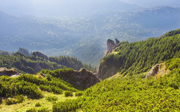 Conglomerate Mountain Landscape Ceahlau Romania — Stock Photo, Image