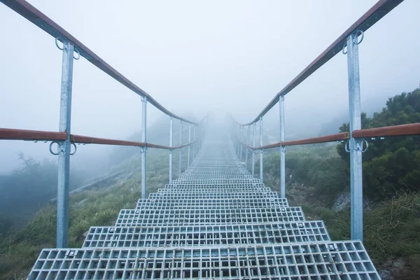 Лестница Лестницей Мистическом Горном Ландшафте Чеахи Румыния — стоковое фото
