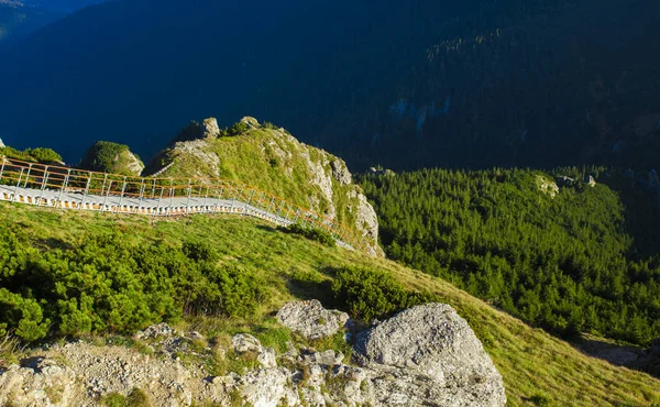 Leiter Mit Treppe Der Wunderschönen Berglandschaft Ceahlau Toaca Rumänien Herbst — Stockfoto