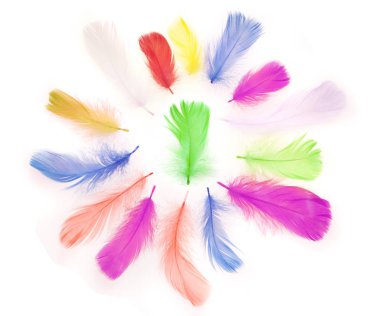 boş boşluk metin için renkli kuş tüyleriyle yuvarlak çerçeve