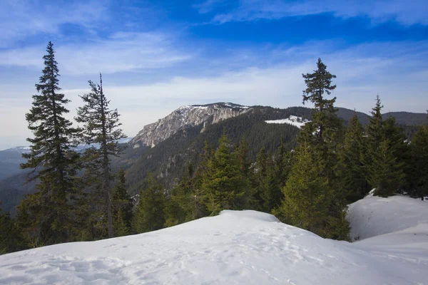 Montagne Rochers Paysage Hasmas Roumanie — Photo