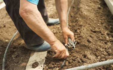 portre için sulama alanında çalışan el