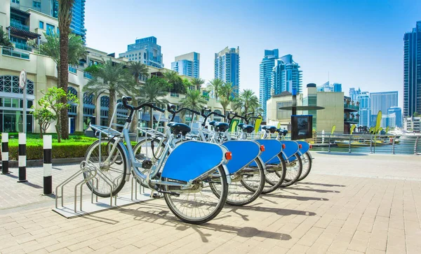 rent a bike in Dubai Marina city district