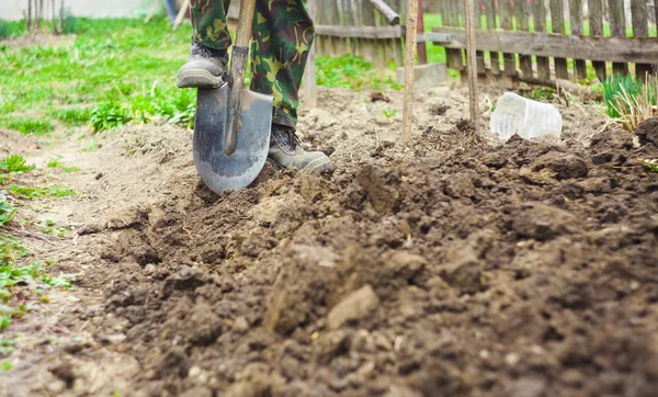 foot with spade in dirt, farmer working in agriculture