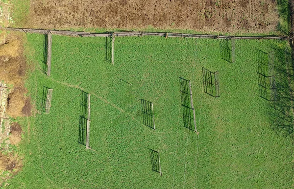 Green Field Ready Hay Processing Aerial View — Stock Photo, Image