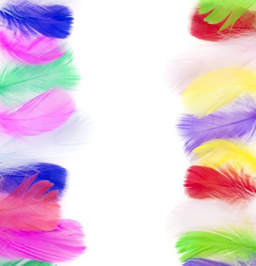 boş boşluk metin için renkli kuş tüyleriyle çerçevesinde