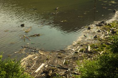 doğada göl kirliliği, çevre sorunu