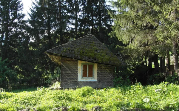 Gammalt Övergivet Hus Skogen — Stockfoto