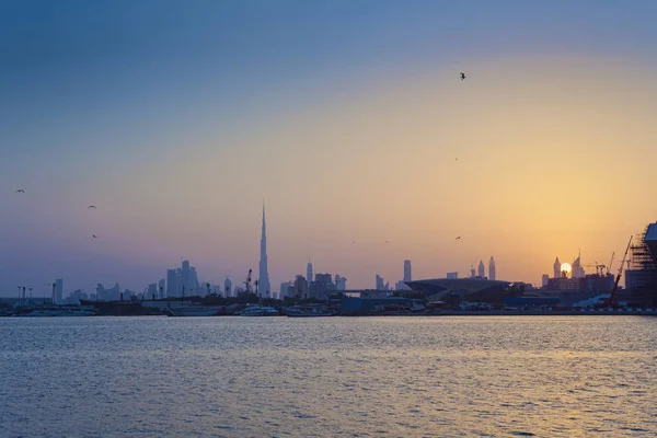 Tramonto Dubai Vista Sulla Città Con Uccelli Che Volano — Foto Stock