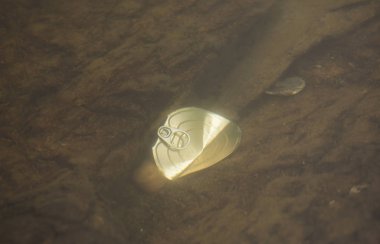 suda olabilir. kirlilik kavramı, çevre imha