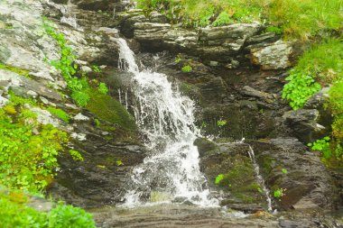 Doğada akarsu ve şelale