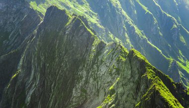 Tehlikeli dağ arması ve fagaras, Romanya zirve manzara