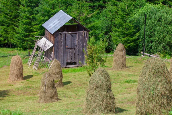 Depósito Para Pilas Heno Rumania Rural Trabajo Aldea Tradicional — Foto de Stock