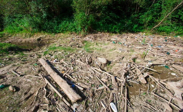 Poluição Com Lixo Resíduos Plásticos Natureza Cena Florestal — Fotografia de Stock