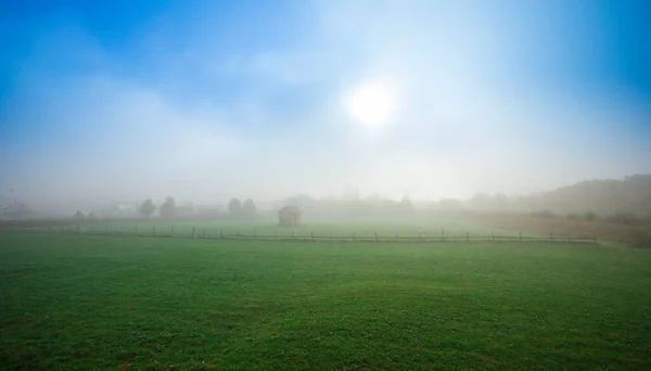 Mistica Mattina Autunno Nel Campo — Foto Stock