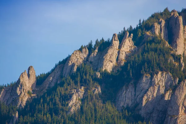 Rochers Dans Forêt Paysage Montagne Ceahlau Roumanie — Photo