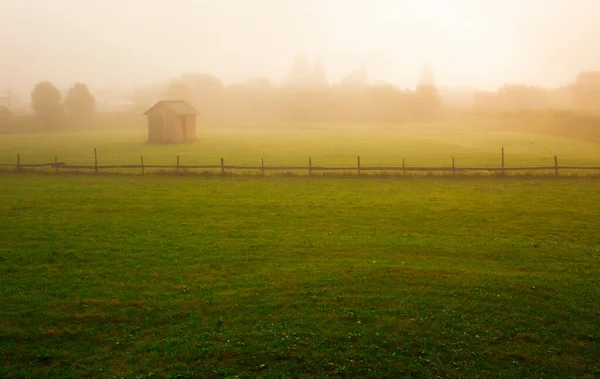 Mistica Mattina Autunno Nel Campo — Foto Stock