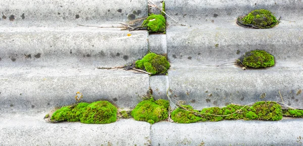 Amianto Amianto Con Muschio Vegetazione Sul Tetto — Foto Stock