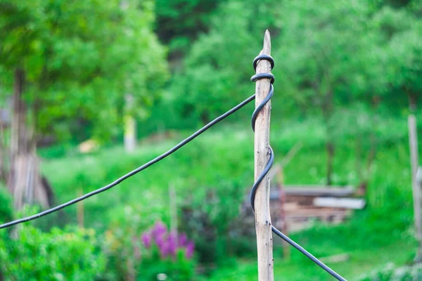 Cable Electric Wire Wooden Pole — Stock Photo, Image