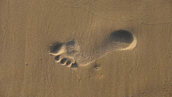 Feet Footprints Sand Seashore Closeup — Stock Photo, Image
