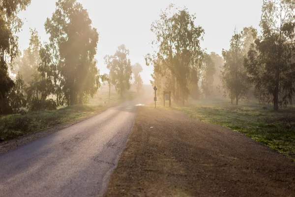 Countryside Road Dawn Fog — Stock Photo, Image