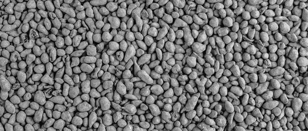 пищевой фон, текстура гранулированного сухого женьшеня