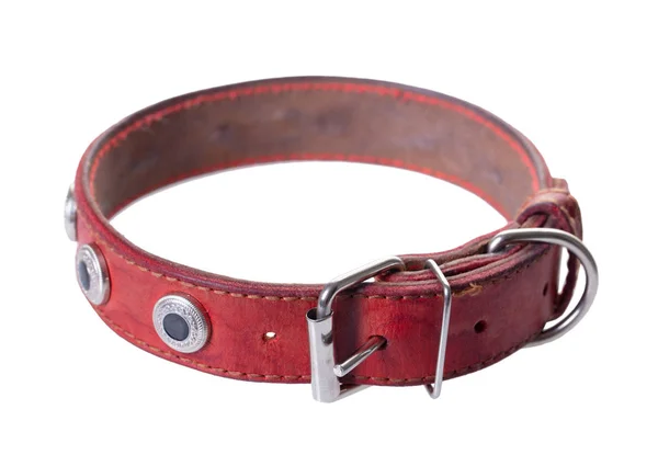 Collier Cuir Rouge Pour Chien Sur Fond Blanc Isolé — Photo