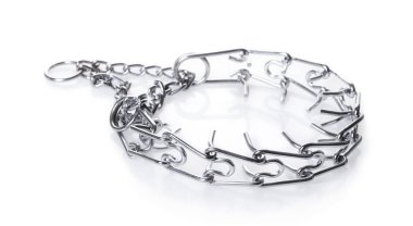 Metal katı yaka beyaz izole arka planda köpekler için