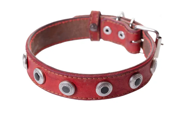 孤立した白地に赤レザー犬の首輪 — ストック写真