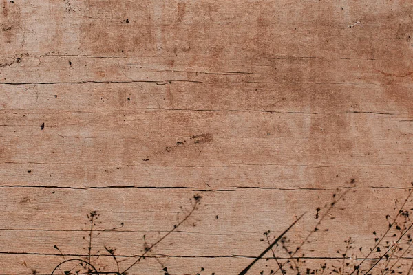Textura de madeira velha closeup — Fotografia de Stock