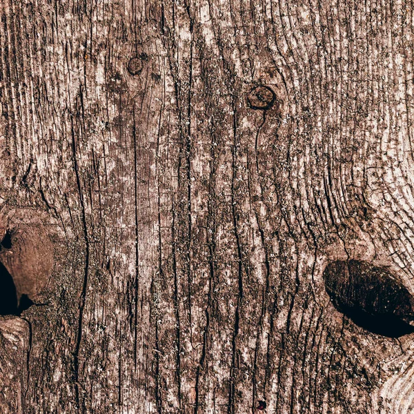 Textura de madera vieja primer plano — Foto de Stock