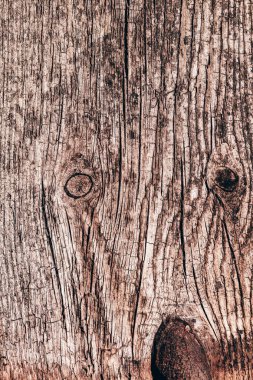 Eski ahşap doku yakın çekim