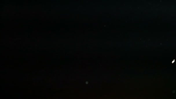 papillons nocturnes volants, abstraction du mouvement 